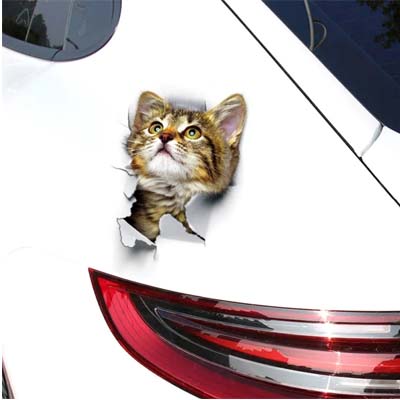 Car 3D Sticker Cute Cat 3D Waterproof Sticker Install For White Type Car